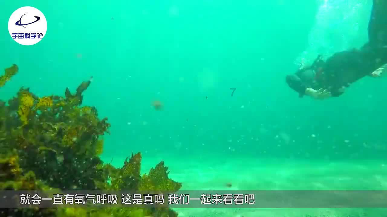 燃烧吧大脑免广告最新版